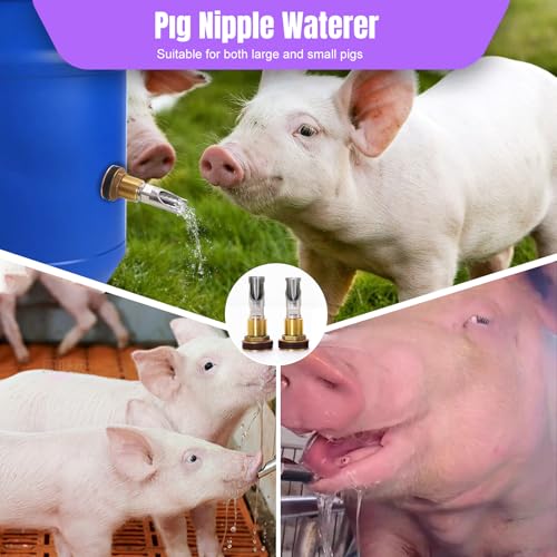 2PCS Pig Waterer Pig Water Nipple for Barrel Kit Automatic Pig Drinker Drinking System Stainless Steel Hog Water Feeder with Brass Water Tank Connectors Kit for Pig (Copper, 2 BS Pig Waterer) - size: 2 BS Pig Waterer