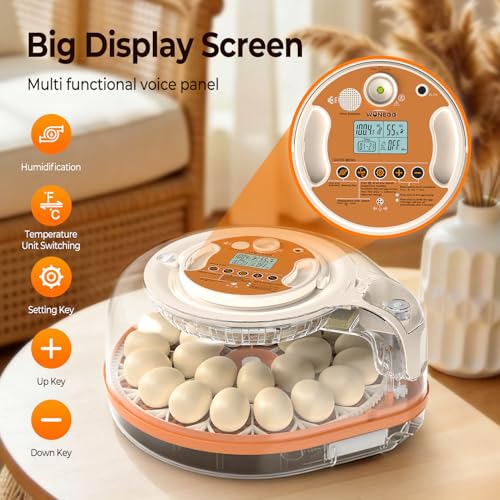 Incubators for Hatching Eggs with Smart Voice Assistant, 26 Eggs Incubator with Automatic Egg Turner and Humidity Control, LED Egg Candler, Incubation Days Display, for Chicken, Duck, Goose, Bird Eggs - size: 26 Chicken Eggs with Voice Assistant