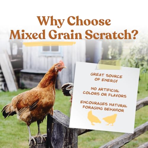 Manna Pro Ultimate Chicken Scratch Multigrain Treat, 10 lb Bag | Nutrient-Rich Scratch Grain Blend, Natural Multigrain Treat, Encourages Natural Foraging, For Chickens & Poultry - size: 10 Pound (Pack of 1)