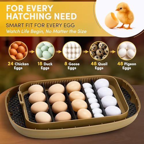 24 Egg Incubator, Incubators for Hatching Eggs with Fully Automatic Turner & Candler, Smart Temperature & Humidity Control, 360° View, Hatching Chicken, Duck, Quail, Goose Eggs for Farm, Home, School