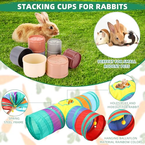 34 Pcs Rabbit Starter Kit Rabbit Litter Box Small Animal Water Bottle Cups Bunny Tunnels Animal Grooming Kit Bowl Blanket with Cleaning Set for Guinea Pig Bunny(Style 1,Light Pink) - color: Light Pink, style: Style 1