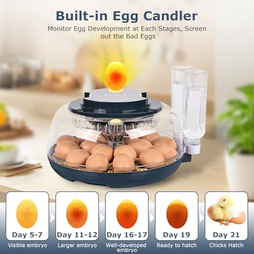 Incubators for Hatching Eggs, 18 Eggs Incubator with Egg Candler, Auto Egg Turner, Temp & Humidity Control, Hatch Day, Auto Water Refill, 2 Size Egg Tray, 360° Viewing for Chicken, Duck, Quail - size: 18 Eggs
