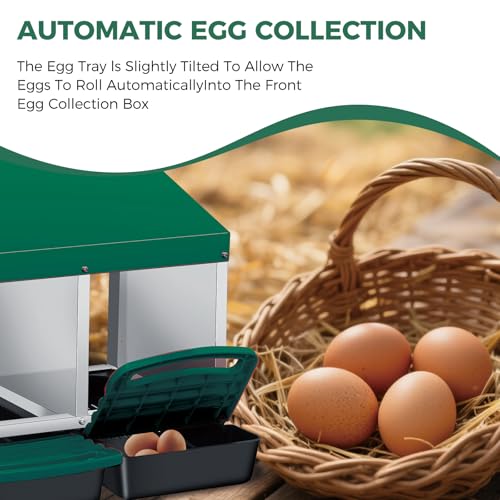 3 Hole Chicken Nesting Box - Heavy Duty Metal Chicken Laying Box, Easy Egg Collection & Cleaning with Removable Tray for Poultry Coop, Backyard, Farm - color: green, size: 3 holes