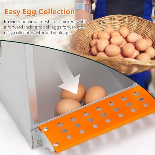 8 Compartment Galvanized Steel Nesting Box Wall Mount | Galvanized Steel Rustproof & Weather Resistant|Vented Design Keeps Interior Dry & Odor Free|Tool-Free Assembly - size: 42.5"L x 17.0"W x 25.0"H
