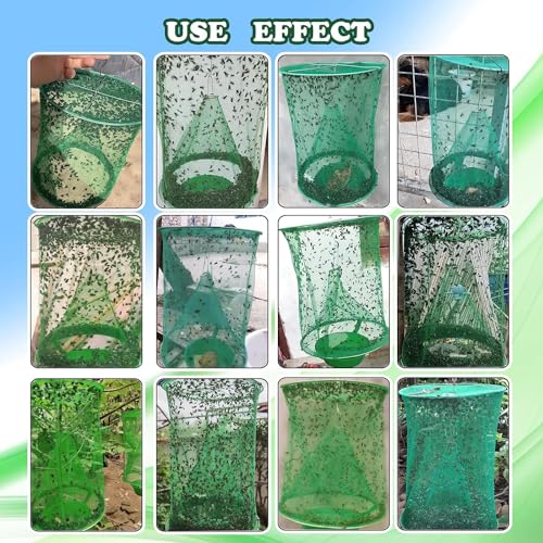 6 Pack Ranch Fly Trap, 2026 New Hanging Fly Catcher, The Most Effective Trap Ever Made with Pots, Cage Catcher for Indoor and Outdoor, Family Farms, Park, Restaurants, Green