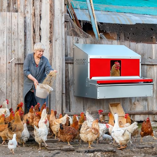 Redants Chicken Nesting Box, Metal Chicken Laying Box with Roll Away Egg Collection, Reversible Wall Mountable Chicken Coop Nesting Boxes for Hens, Ducks, Waterproof, 24"×19.5"×20", Up to 20+ Hens - size: 24.0"L x 19.5"W x 20.0"H