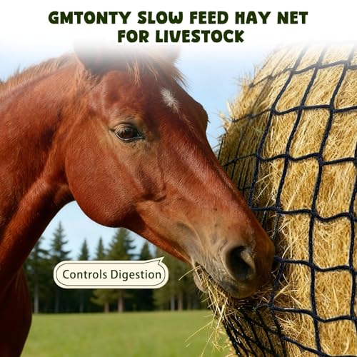 5x5ft Bolded Hay Net for Horses – Heavy-Duty Slow Feeder | Knotless 2-Inch Mesh Slows Intake, Slashes Hay Waste – Great For Barns, Farms & Home
