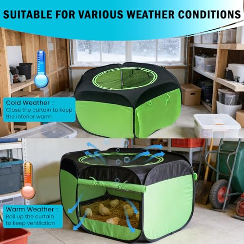 Tetuga Brooder Box for Chick Starter Kit, Chicken Brooder Up to 15 Chicks | Pop-Up Chicken Brooder Pen with Breathable Mesh Easy Fold Storage, Indoor Outdoor Use for Chick, Duck And Quail,Green - color: Chicken Brooder Tent,Green