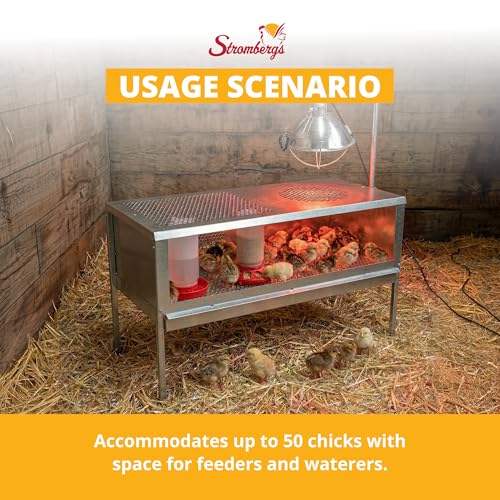 Stromberg's Stand Up Chick Brooder, Elevated Chicken Brooder Pen with Lamp Stand, Removable Tray, Wire Floor, Ventilated Steel Design, Raised Frame for Easy Cleaning and Chick Care | With Lamp Stand, Removable Tray, Wire Floor, Ventilated Steel Design, Ra
