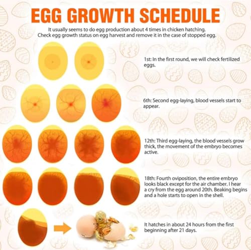 Luqeeg LED Light Egg Candler Tester, Rechargeable Egg Candler Tester for Monitoring Eggs Development, Bright Cool Light Incubator for Chickens Ducks Birds Eggs