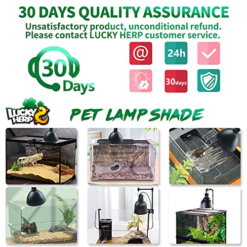 LUCKY HERP Aluminum 5.5inch Deep Dome Reptile Light Fixture, Reptile Heat Lamp Fixture for UVB Bulb Basking Heat Bulb - color: Deep Dome Reptile Light Fixture, size: 5.5 inch Non-Adjustable