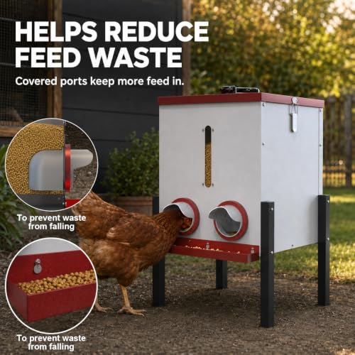 PETNF 55LB Automatic Chicken Feeder, 40L Metal No Waste Poultry Feeder with Rat-Proof Design, 4 Feeding Ports, Weatherproof Locking Lid, Height-Adjustable Legs for Chickens, Ducks and Geese