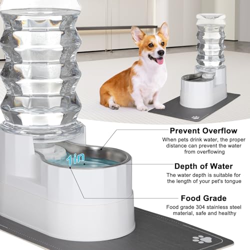RIZZARI 8L Elevated Dog Water Dispenser: Senior Pets Filtered Hydration | Raised Stand Helps Reduce Neck Strain/Stainless Steel Bowl/Quiet Gravity-Fed Operation/for Multi-Pet Homes - color: Bright White, size: 8L