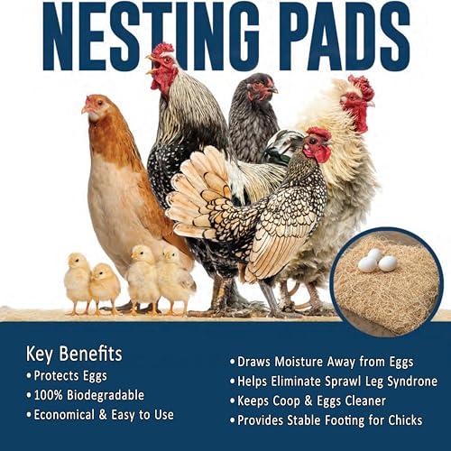 Chicken Nesting Pads for Chicken Coop Accessories - 12 Pack - USA Aspen - Professional Grade Excelsior Bedding - Easy Clean Up - Absorbs Moisture 100% Natural, Liners for Laying Hens - Fits 12x12 Box