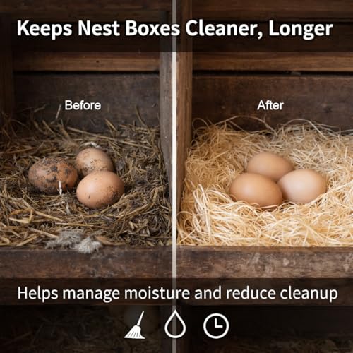 Nest Box Queen, Excelsior Nest Box Pads for Hens - 13 Inch x 13 Inch (40 Pack)