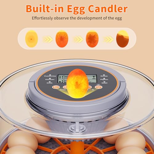 12 Egg Incubators for Hatching Eggs, Automatic Egg Turning & Humidity Control Intelligent Temp Eggs Candler for Chicken Quail Duck etc. Eggs, Suit for Beginner Backyard Hobbyist Students Education - color: Light gray