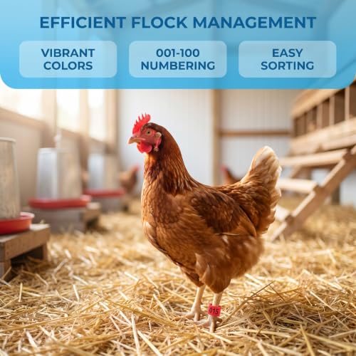 100 PCS 16mm Bird Leg Bands, Numbered Mixed Color Clip On Poultry Rings, Pigeon Quail Identification Bands for Bantam Chickens Canary Lovebirds Small Birds