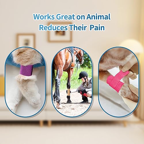 12 Rolls Self Adhesive Bandage Wrap, Cohesive Bandage 4 inches x 5 Yards, Sports Wrap Tape, Also for Horses & Dogs as Breathable Vet Wrap (Black) - color: Black