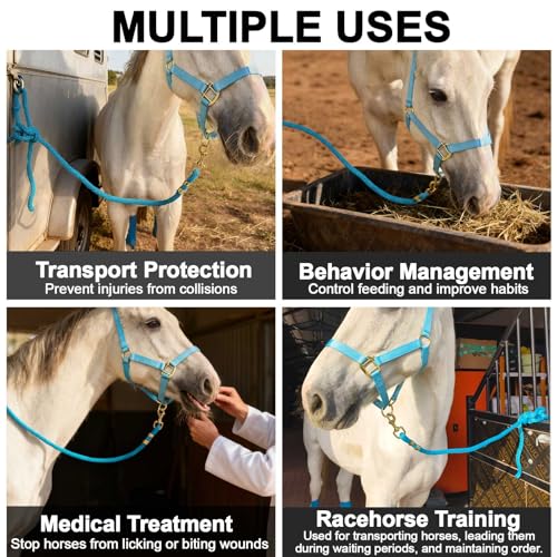 5/8" x 8' Nylon Horse Lead Rope with Cast Iron Hardware(Lake Blue) | Durable nylon material, cast iron hardware, ideal for daily use, training and showing. - color: Lake Blue