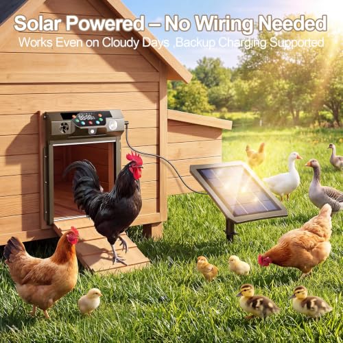 Automatic Chicken Coop Door Solar Powered, Roll-Up Chicken Door with Timer & Light Sensor, Anti-Pinch Safety Auto Chicken Door with Remote Control, Weatherproof for Outdoor