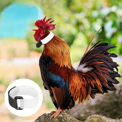 M METERXITY 10-Pack Rooster Collars, 8.07" x 0.79" Adjustable Soft Polyester Anti-Noise Neck Belt for Chickens and Poultry Birds, Noise Control Collar [Black/White] - color: Black/White