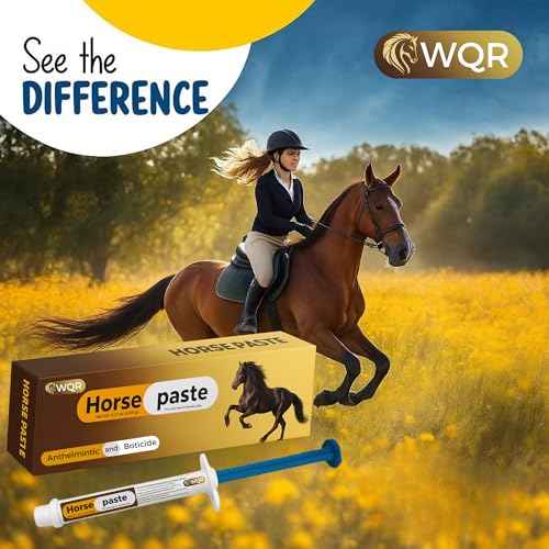 Horse Paste – Oral Syringes – 6.08g Tubes – Adjustable Weight Markings – For Horses Up to 1,250 lbs (Pack of 2)