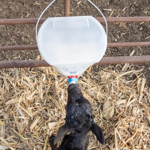 Premier 1 Orphan Calf Milk Feeding Bucket - 2 Gallon | Transparent for milk monitoring. Sloped floor — all liquid consumed. Includes rubber calf teat, teat unit & lid.