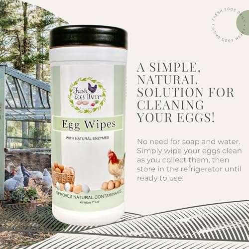 Fresh Eggs Daily Egg Wipes – Enzyme-Based Egg Cleaner for Backyard Chickens, No Rinse Needed, Natural Enzyme Formula – 40 Natural Cleaning Wipes - size: 40 Count (Pack of 1)