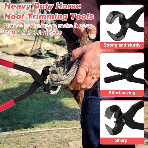 8Pcs Farrier Hoof Tool Kit, Horse Hoof Trimming Tools, For Horses Cattle | Farrier Hoof Nippers, Horseshoe Cutting Pliers, Hoof Rasp File, Horseshoe Brush, Hoof Knife, Hoof Hammer, For Sheep Donkeys