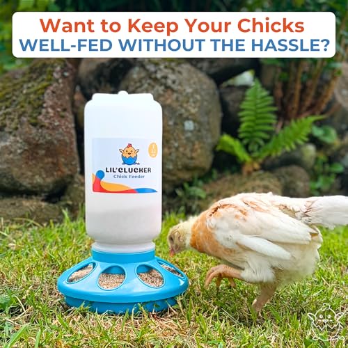 Lil'Clucker 1L Chick Feeder, 1.5L Chicken Waterer - No Leakage Chick Feeder and Waterer Kit, Durable Chicken Water Feeder, Chicken Feeder and Waterer Set, Poultry Waterer (Blue) - color: Blue