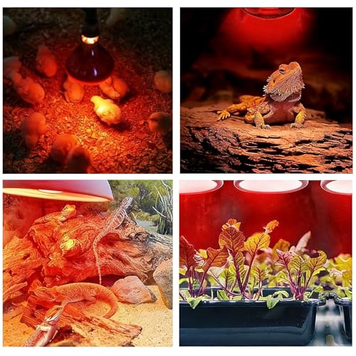 Heat Lamp Bulbs 150 Watt Infrared Red Light, 150W Heat Bulb for Bearded Dragon, Lizard, Tortoise, Chickens, Brooder Coop, Pets, Food Service (4 Pack) - size: 4 Pack