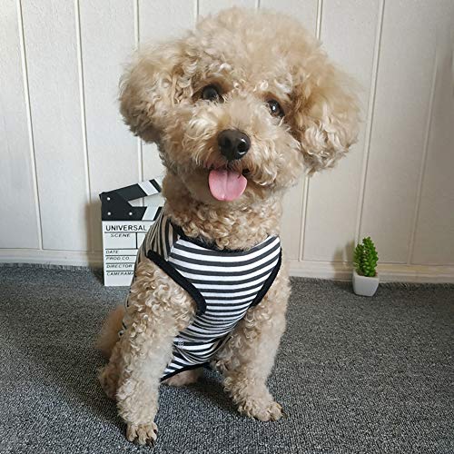 Dog’s Recovery Suit Post Surgery Shirt for Puppy, Wound Protective Clothes for Little Animals(Black White Stripe-XXS) - color: black white stripe, size: XX-Small