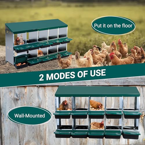 Chicken Nesting Box, 10 Hole 2 Layer Hen Nest Boxes, Roll Away Eggs Laying Boxes,Cleanable Pull Out Hen Roosting Boxes - size: Green- 10 compartment