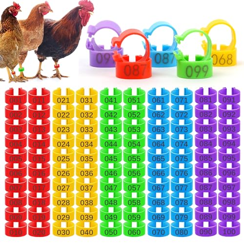 16mm Numbered Poultry Leg Bands – Colorful Chicken Leg Rings for Ducks, Geese, Turkeys, Game Birds – Bird Identification Bands for Poultry Breeding & Flock Management