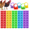 16mm Numbered Poultry Leg Bands – Colorful Chicken Leg Rings for Ducks, Geese, Turkeys, Game Birds – Bird Identification Bands for Poultry Breeding & Flock Management