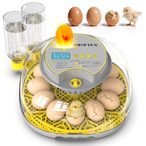 Incubator for Hatching Eggs - 12 Egg Capacity, 360° Viewing for Chicken | Automatic Temp & Humidity Control, Auto Egg Turning & Built-in Egg Candler for Chicken, Duck, Goose & Quail (Grey) - color: Grey, size: 12 Egg