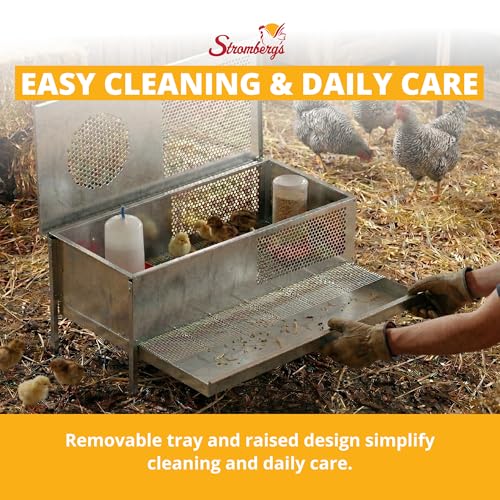 Stromberg's Stand Up Chick Brooder, Elevated Chicken Brooder Pen with Lamp Stand, Removable Tray, Wire Floor, Ventilated Steel Design, Raised Frame for Easy Cleaning and Chick Care | With Lamp Stand, Removable Tray, Wire Floor, Ventilated Steel Design, Ra