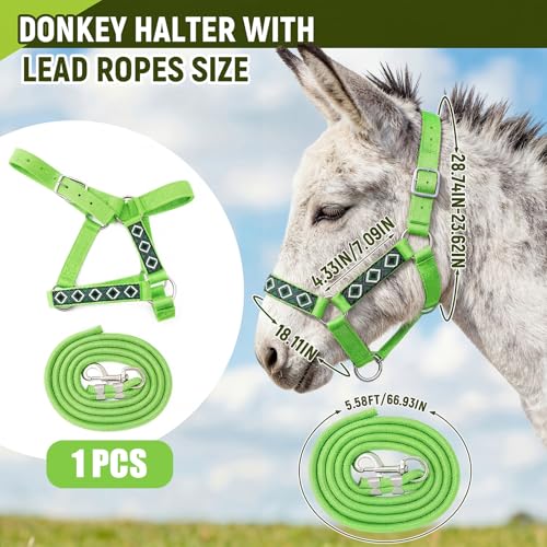 1 Set Mini Donkey Halter with Lead Rope Adjust, Bright Green | Nylon Head Collar, Cute and Stylish, for Miniature Donkey and Small Equines, Farm Ranch Pasture Outdoor, Gingham Plaid Trim - color: Bright Green