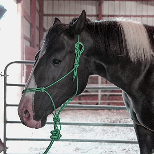 Majestic Ally 1/4" Rope 4 Knot Stiff Polyester Training Halter with 10’ Matching Lead Rope for Horses – Full (Hunter Green, Full) - color: Hunter Green, size: Full