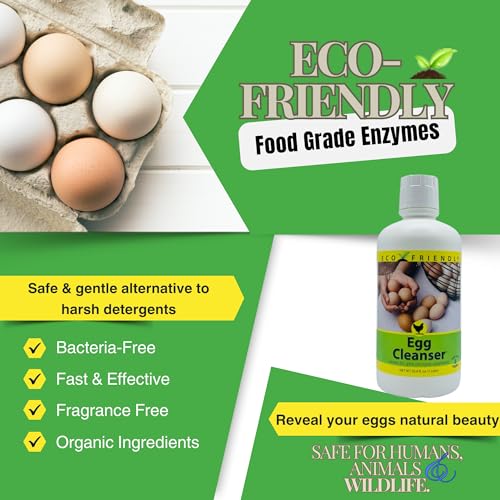 CareFree Enzymes Egg Washer & Egg Cleaner — Natural Enzyme Egg Wash for Fresh Farm Eggs, Safe for Backyard Chickens & Homesteads, 33.9 oz