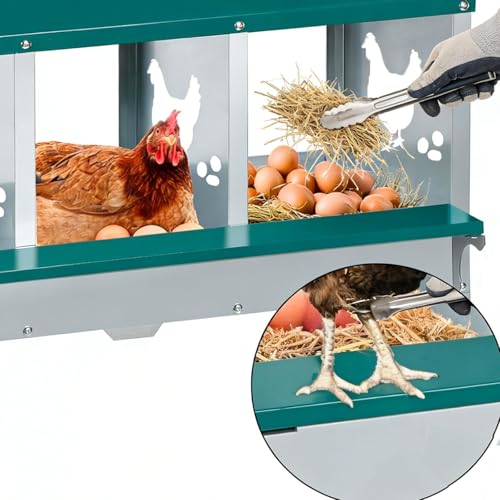 Chicken Nesting Box, 8 Compartments Nesting Box with 4 Fake Eggs & 10 Soft Nest Pads, Wall Mounting for Easy Egg Collection, Heavy Duty Galvanized Steel Rustproof Laying Box with Vented & Easy Clean - size: 8 compartment with Legs