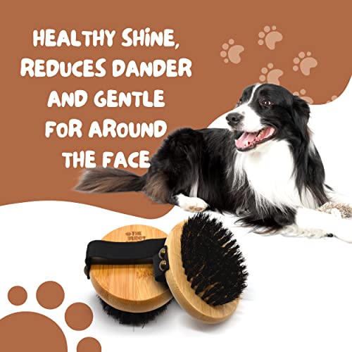 The Buddy System - Pet Close Brush, Oval Palm Brush with Boar Bristles | Dog & cat grooming brush for shedding, massage, healthy coat, and pet hair care. Fits in your palm for daily grooming - color: Boar Bristle
