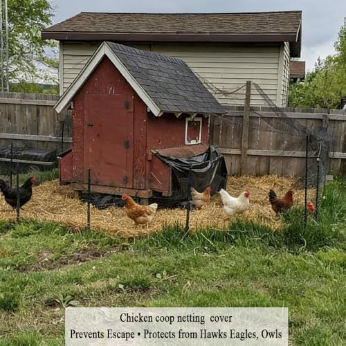 Bird Netting for Chicken Coop 25x100 FT, 1" Chicken Run Cover Net | Woven Coop Netting Roof Against Hawk, Eagle, Owls, Bird Netting for Garden, Fruit Trees, Plants, Vegetables Protection - size: 25x100 FT