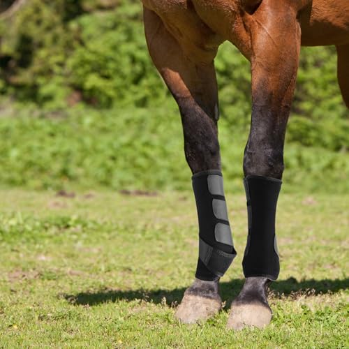 4 Pcs Horse Sport Boots - Neoprene Protective Breathable Comfy Mesh All-Round Lower Limb Protection & Support for Jumping Trail Riding Endurance Training and Performance - size: ‎Large / Full