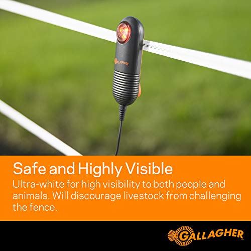 Gallagher Electric Fence Poly Tape | Ultra White 656 Ft Roll | 5 Stainless Steel Rust Resistant Strands | Suitable for Portable & Semi Permanent Electric Fences | UV Resistant 1/2" Diameter Poly Tape