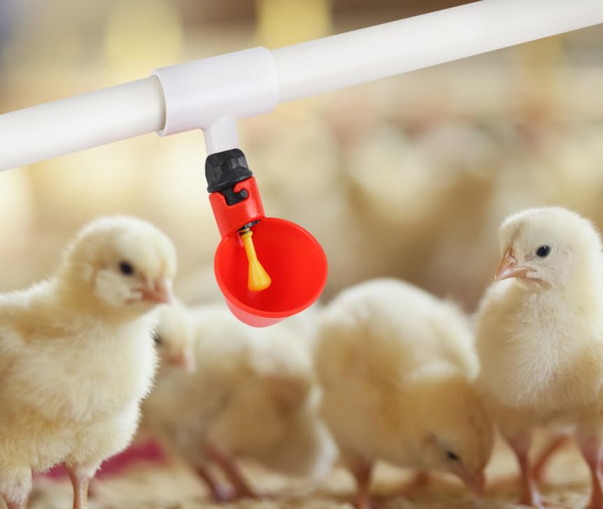 12 Pack Automatic Chicken Waterer Cups, Plastic Chicken Water Feeder Chicken Water Bowls Poultry Water Feeder Kit for Chicks, Duck, Goose, Turkey and Bunny
