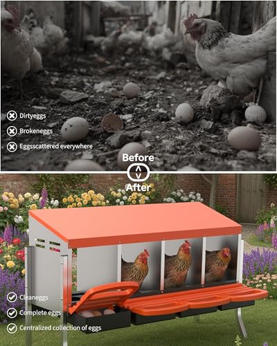Metal Chicken Nesting Box with Easy-Collect Tray & Lid – 3/4/2x2 Compartment Heavy Duty Roll Away Nesting Boxes for Chickens, Wall Mount or Freestanding, Galvanized Steel Hen Laying Box for Coop