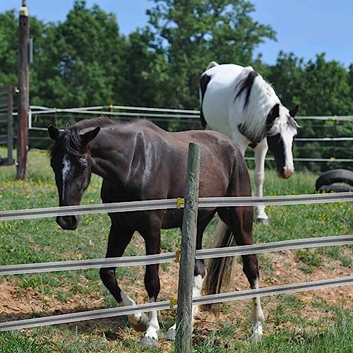 Reflective Electric Fence Poly Tape 2 Inch 656 Feet | Upgraded reflective strip,12 x 0.18mm stainless steel conductors for horse fencing