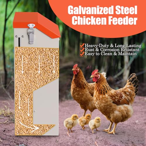 Small Chicken Feeder Gravity Feed Chicken Food Dispenser No Waste | Prevent Waste, Holds 10 Pounds of Feed, 3-4 Hens Can Eat At One Time, For Home Backyard Coop Wall Mount, Space-Saving