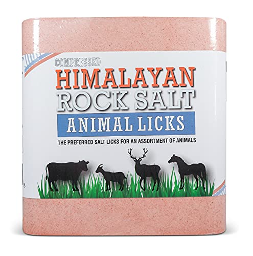 Compressed Salt Lick for Livestock & Wildlife, 22 lb - size: 22 Pound (Pack of 1)